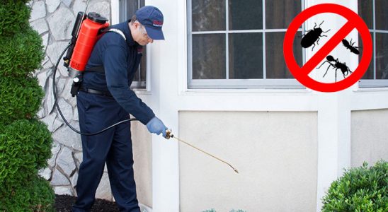 Gebze Bit İlaçlama böcek ilaçlama ve haşere kontrolü — ilaclama-tr.com